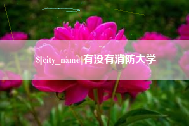 新沂有没有消防大学