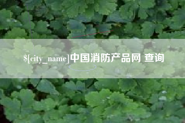 新沂中国消防产品网 查询