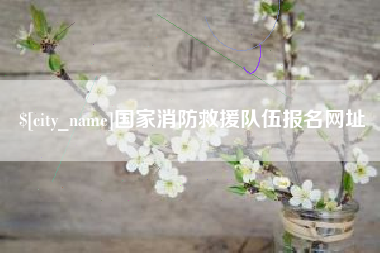 新沂国家消防救援队伍报名网址