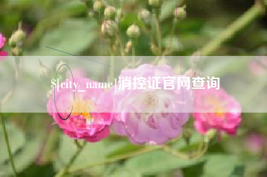 新沂消控证官网查询