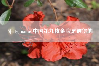 新沂中国第九枚金牌是谁得的