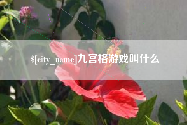 新沂九宫格游戏叫什么