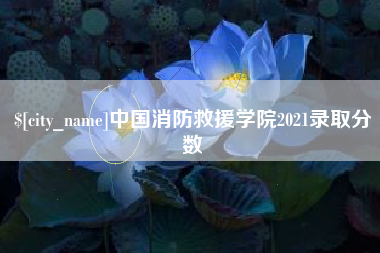 新沂中国消防救援学院2021录取分数
