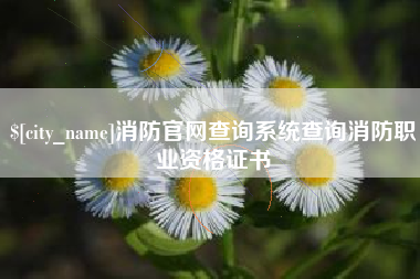 新沂消防官网查询系统查询消防职业资格证书