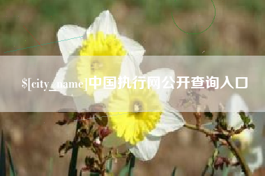 新沂中国执行网公开查询入口