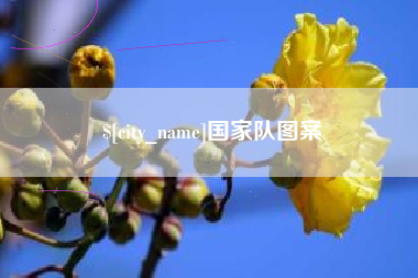 新沂国家队图案
