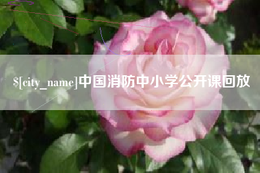 新沂中国消防中小学公开课回放