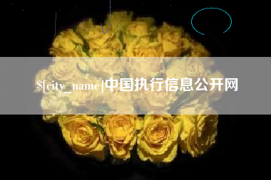新沂中国执行信息公开网