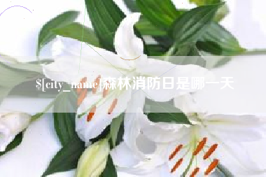 新沂森林消防日是哪一天