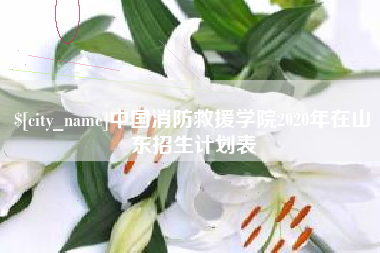 新沂中国消防救援学院2020年在山东招生计划表