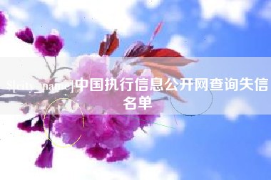 新沂中国执行信息公开网查询失信名单