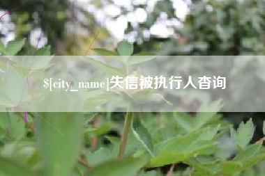 新沂失信被执行人杳询