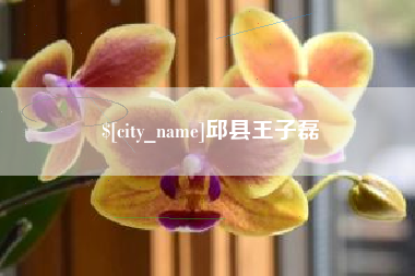 新沂邱县王子磊
