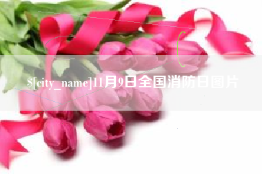 新沂11月9日全国消防日图片