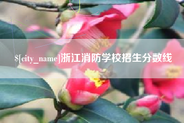 新沂浙江消防学校招生分数线