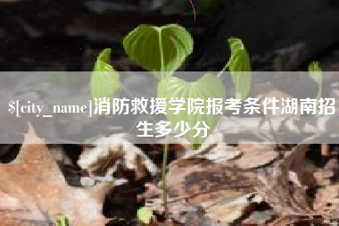 新沂消防救援学院报考条件湖南招生多少分