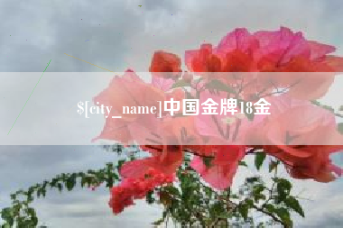 新沂中国金牌18金