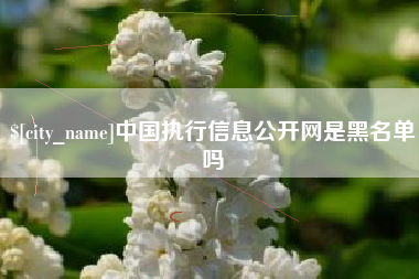 新沂中国执行信息公开网是黑名单吗