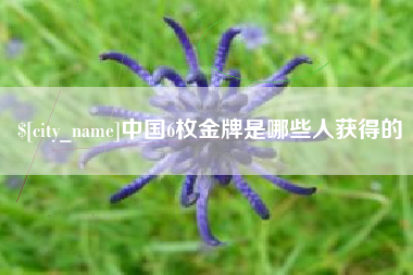 新沂中国6枚金牌是哪些人获得的