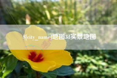新沂地图3d实景地图