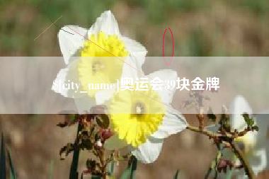 新沂奥运会39块金牌