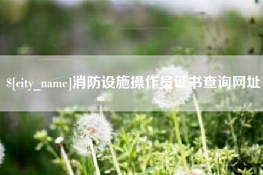新沂消防设施操作员证书查询网址