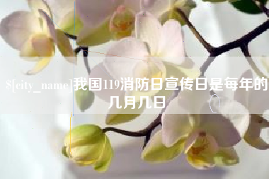 新沂我国119消防日宣传日是每年的几月几日