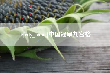 新沂中国冠军九宫格