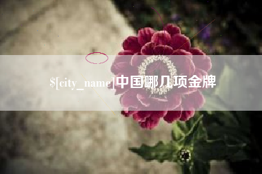 新沂中国哪几项金牌
