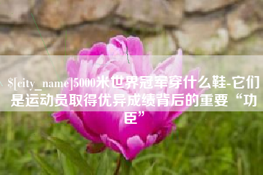 新沂5000米世界冠军穿什么鞋-它们是运动员取得优异成绩背后的重要“功臣”