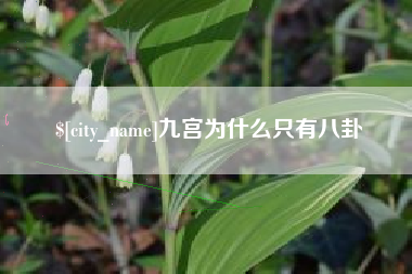 新沂九宫为什么只有八卦