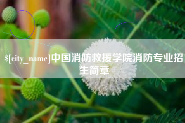 新沂中国消防救援学院消防专业招生简章