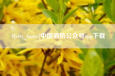 新沂中国消防公众号app下载