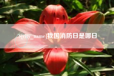 新沂我国消防日是哪日