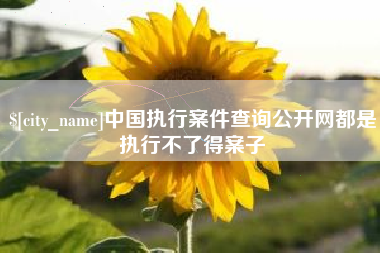 新沂中国执行案件查询公开网都是执行不了得案子