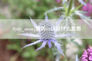 新沂消防ccc认证什么意思
