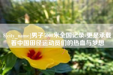 新沂男子5000米全国记录-更是承载着中国田径运动员们的热血与梦想