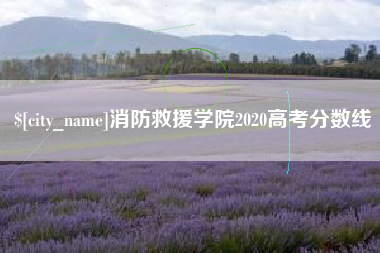 新沂消防救援学院2020高考分数线