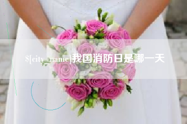 新沂我国消防日是哪一天