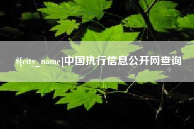 新沂中国执行信息公开网查询