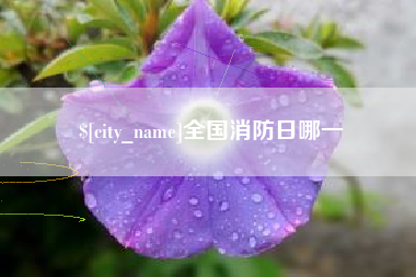 新沂全国消防日哪一