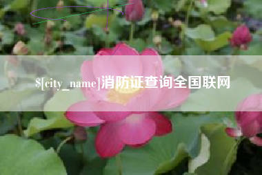 新沂消防证查询全国联网