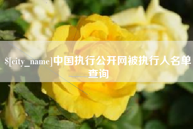 新沂中国执行公开网被执行人名单查询