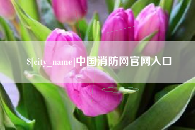 新沂中国消防网官网入口