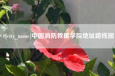 新沂中国消防救援学院地址路线图