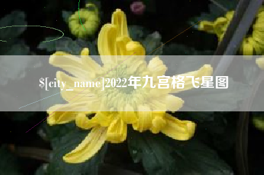 新沂2022年九宫格飞星图