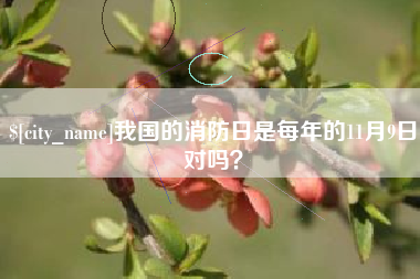 新沂我国的消防日是每年的11月9日对吗？