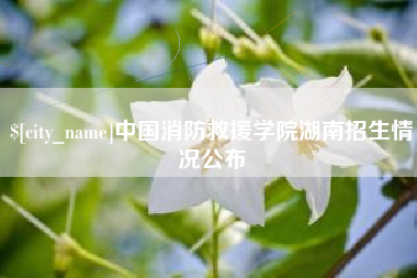 新沂中国消防救援学院湖南招生情况公布
