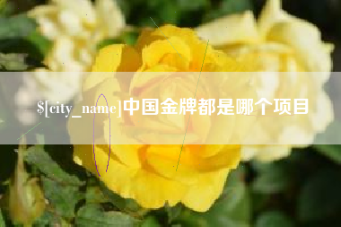 新沂中国金牌都是哪个项目