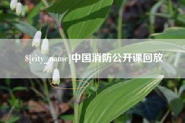 新沂中国消防公开课回放